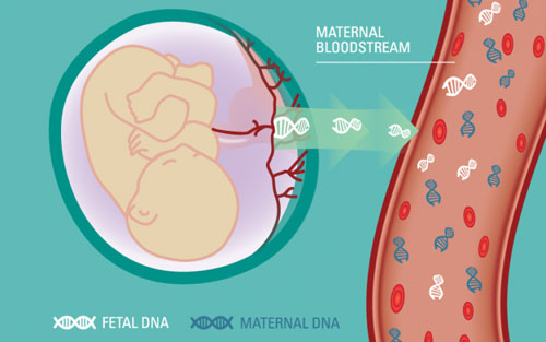 UK comprehensively promotes gene sequencing NIPT: China sells for a thousand dollars or not far away