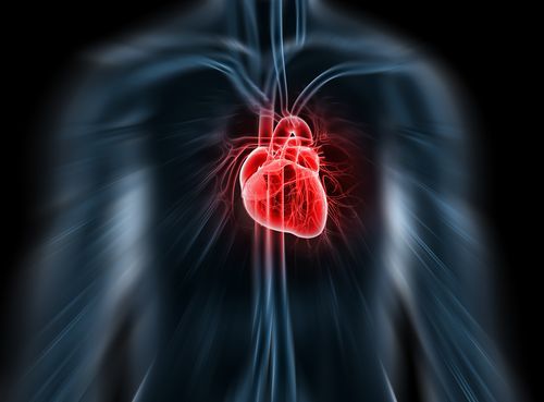 Researchers find that cardiac visualization helps doctors predict stroke risk