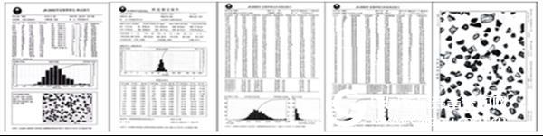 Microscope image analyzer field of use and software features