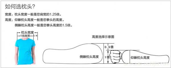 æž•å¤´é«˜åº¦