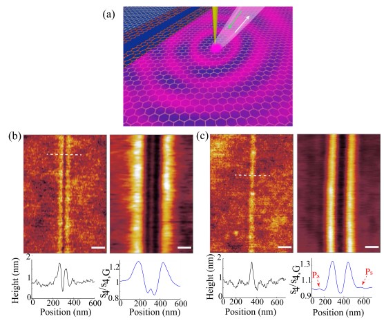 An important member of graphene defect engineering - surface plasmon reflex