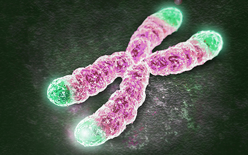 Blood detection of the length of telomeres can tell the age of DNA