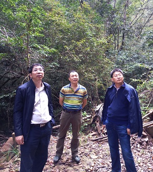 Guangxi Forestry Design Institute introduces technology environmental monitoring system