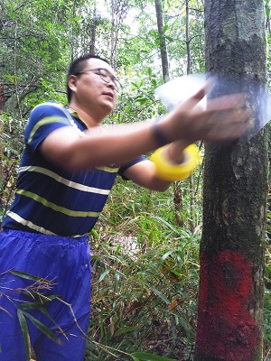 Guangxi Forestry Design Institute introduces technology environmental monitoring system