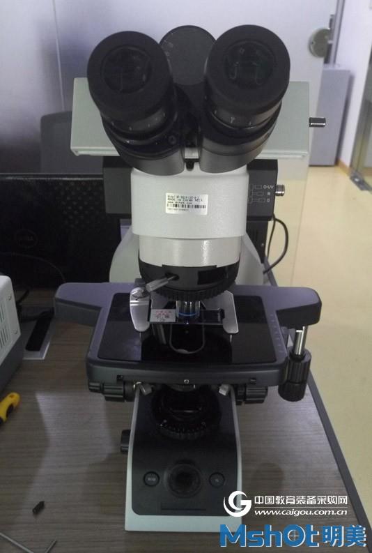 MF43LED fluorescence microscope for plant fluorescent protein research