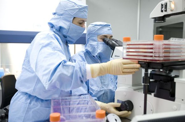 South Korea's Eutilex Corporation Raises $18.9 Million to Continue T Cell Immunotherapy
