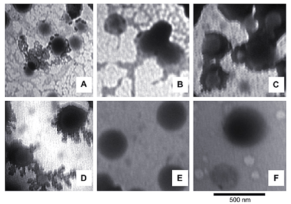 Low-voltage transmission electron microscope LVEM 5 assists in "bio-missile" research