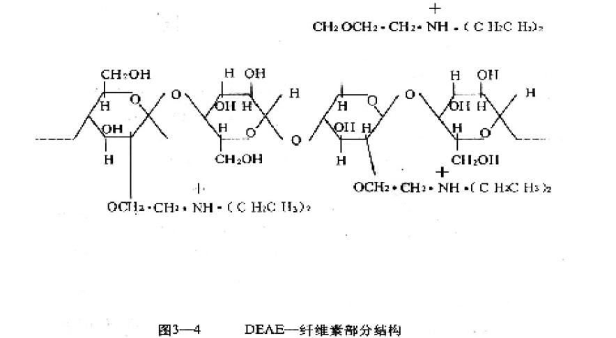 Basic operation method of ion exchange chromatography