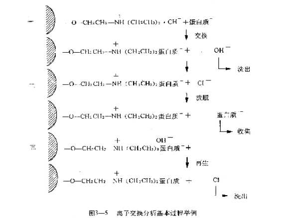 Basic operation method of ion exchange chromatography