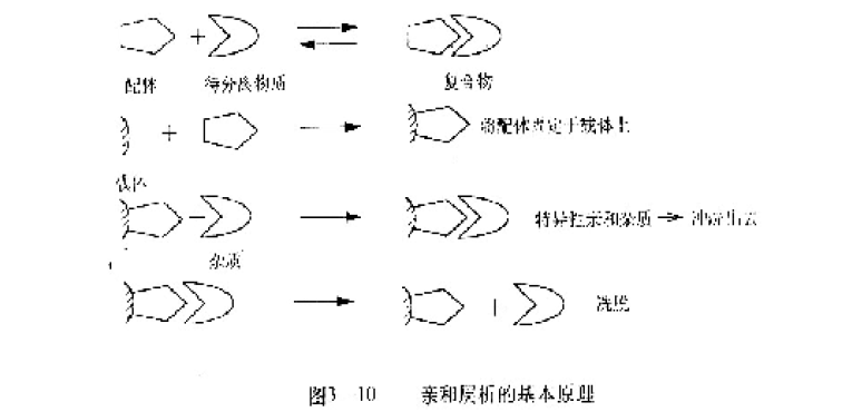 Affinity Chromatography