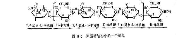 Type of electrophoresis technology