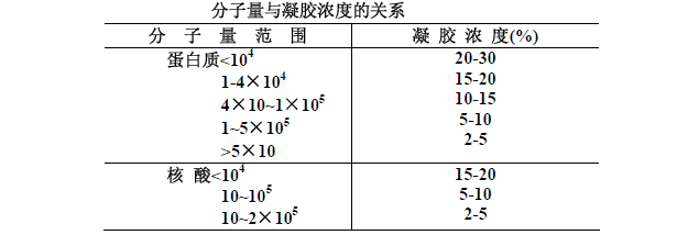 Polyacrylamide gel electrophoresis