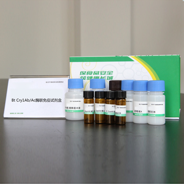 Transgenic plant protein concentration determination kit