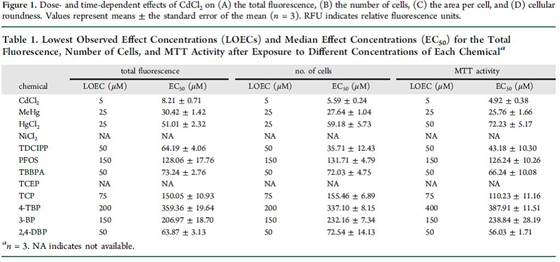 Experimental results of evaluating the effects of compounds on Hela-GFP cell proliferation and morphology by label-free screening assay