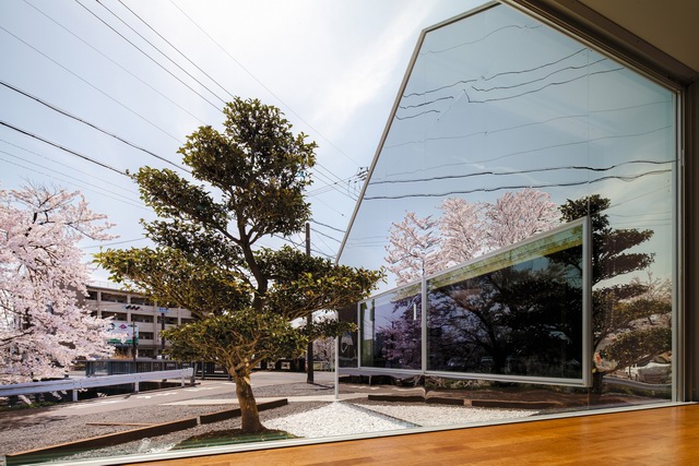 Passing through the cafes in the cherry blossoms of the sky