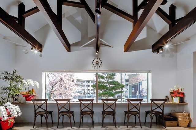 Passing through the cafes in the cherry blossoms of the sky