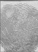 fingerprint