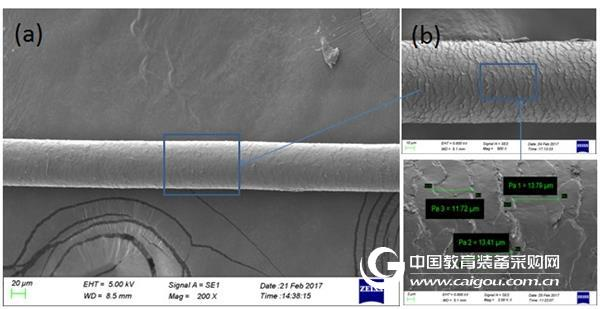 The microscopic world of OPTON No. 6 The effect of perm and hair dye on hair quality