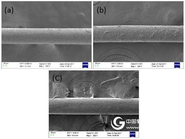 The microscopic world of OPTON No. 6 The effect of perm and hair dye on hair quality