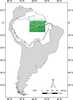 SOC710 Flux Tower Application Case 1 Estimate the Chlorophyll Content of Amazonian Vegetation