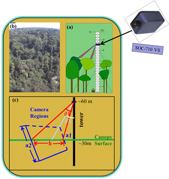SOC710 Flux Tower Application Case 1 Estimate the Chlorophyll Content of Amazonian Vegetation