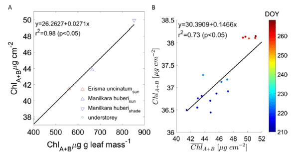 SOC710 Flux Tower Application Case 1 Estimate the Chlorophyll Content of Amazonian Vegetation