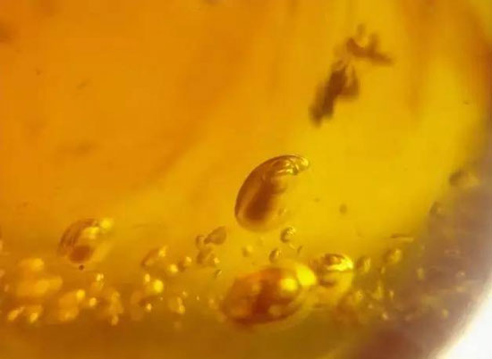 æ°´èƒ†ç¥ç€