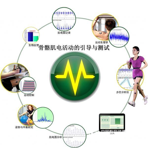 Guide and test of skeletal muscle electrical activity