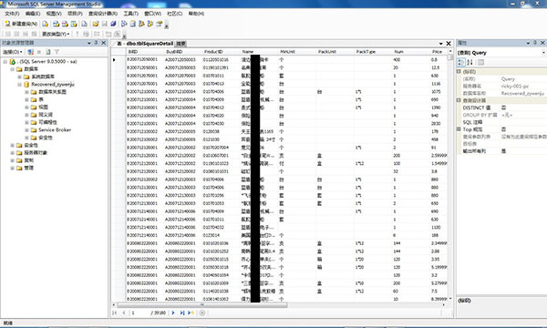 How do IT executives repair the sql server2005 database themselves?