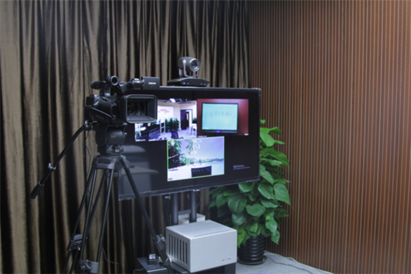 Double-teacher class: self-constructed program in the education live broadcast room