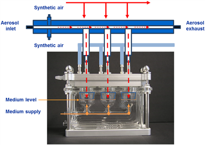 Improvement of experimental repeatability after improvement of in vitro exposure to poisoning technology