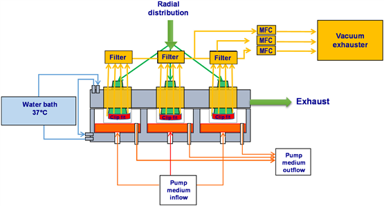 Improvement of experimental repeatability after improvement of in vitro exposure to poisoning technology