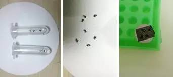 OPTON's Microcosm No. 9 Ant's World
