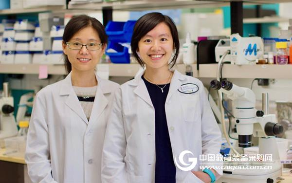 Exploring the "dark number" of microbes affecting the host's gain