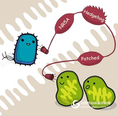 Exploring the "dark number" of microbes affecting the host's gain