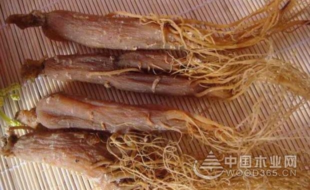 The efficacy and function of red ginseng and the method of consumption