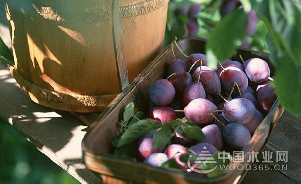 The medicinal value of ebony, the role and effect of ebony