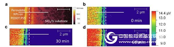 Nano-scale near-field imaging for solar cell coatings