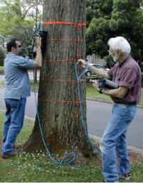 TRU tree radar detection system