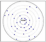 TRU tree radar detection system