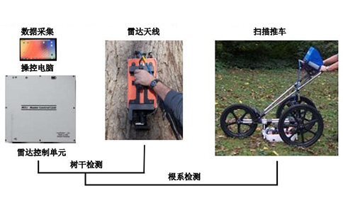 TRU tree radar detection system