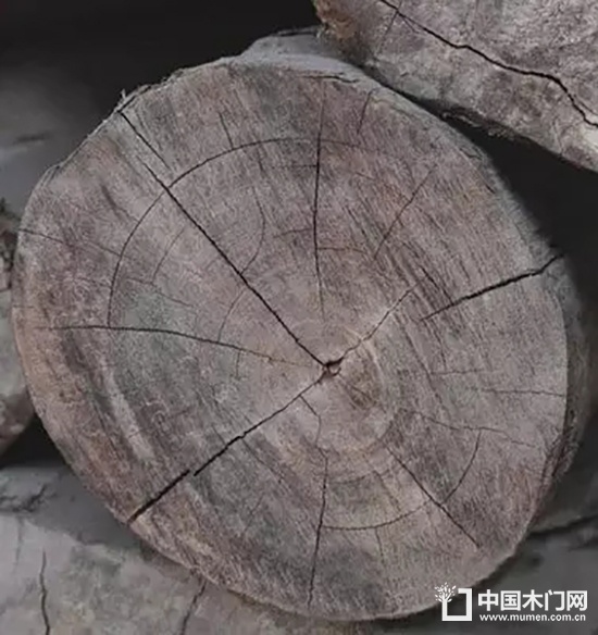 wood