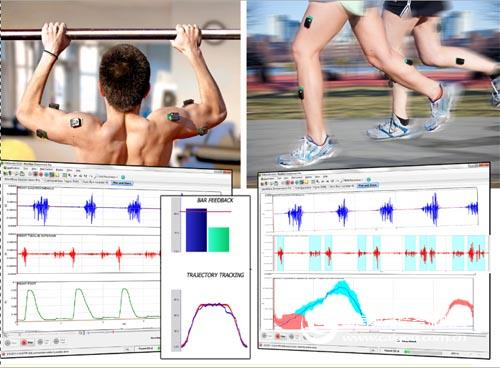 Analyze how surface EMG is applied to muscle function assessment