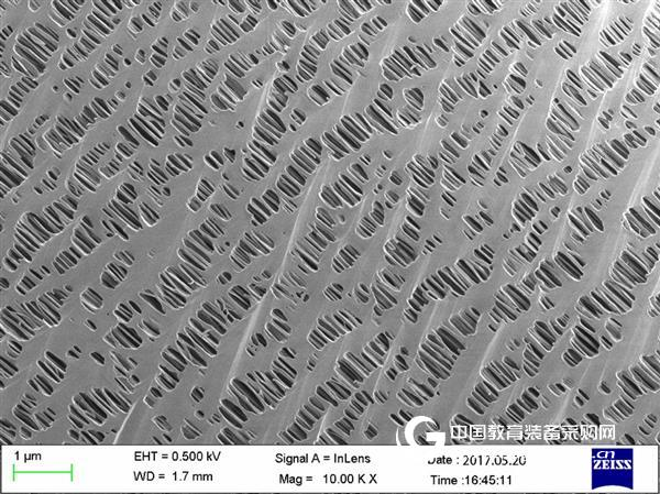 Microscopic World of OPTON | Microscopic World of Lithium Ion Battery Separators