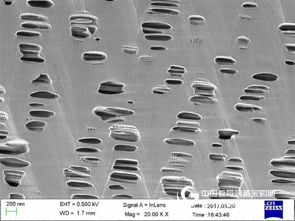 Microscopic World of OPTON | Microscopic World of Lithium Ion Battery Separators