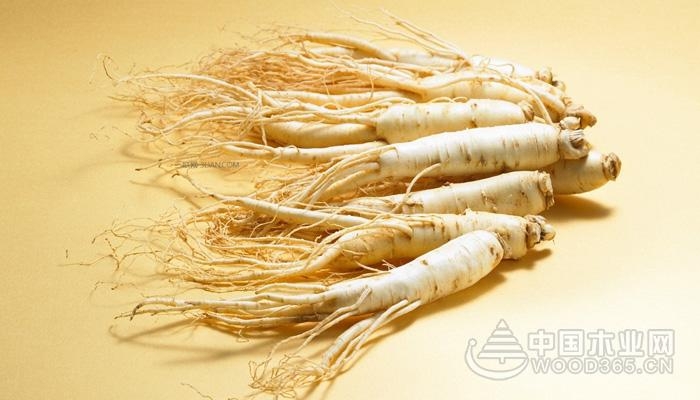 The function and function of American ginseng and its eating method