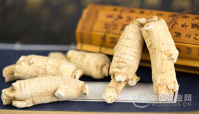 The function and function of American ginseng and its eating method