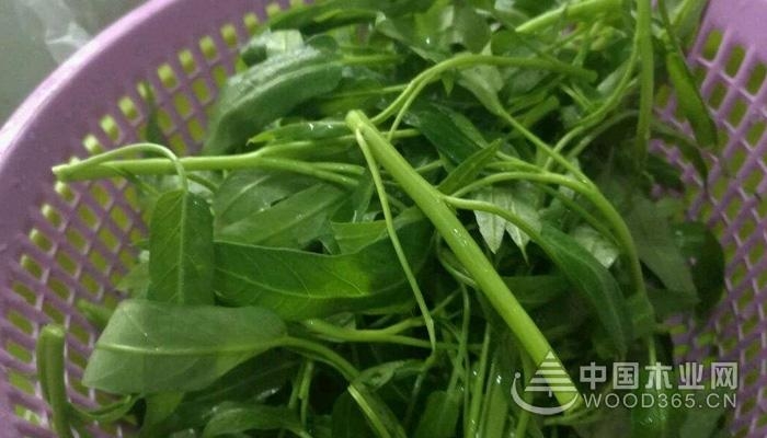 Nutritional value of water spinach