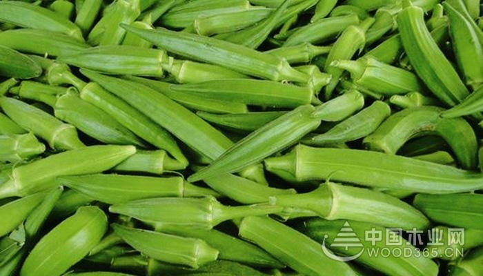 How to eat Okra, the practice of Okra and the price of Okra