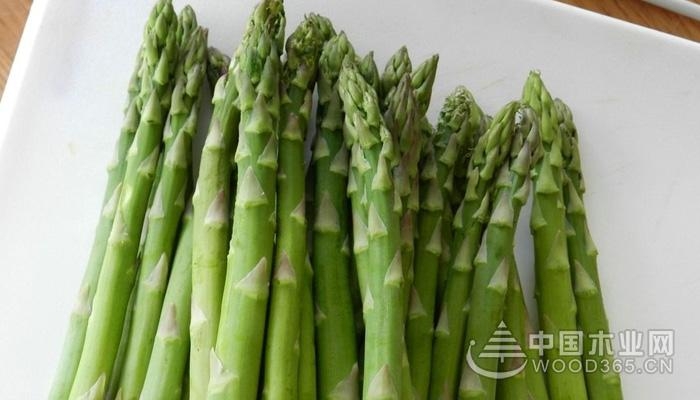 The function and effect of asparagus